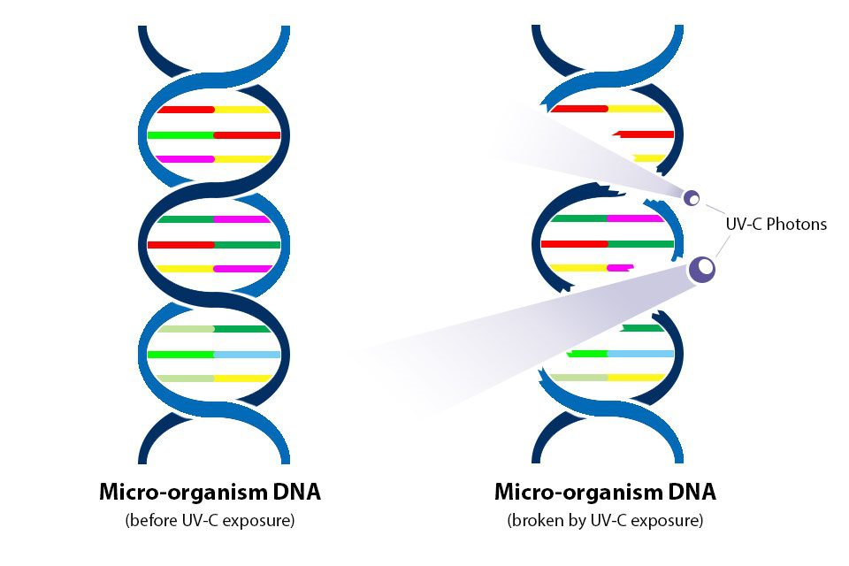 uvc-rayos-germicidas-virucida-bactericida UVC rayos germicidas virucida y bactericida